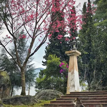 花蓮長住更自在